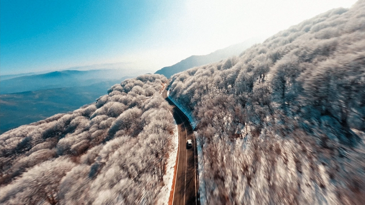 coyote poste linkedin